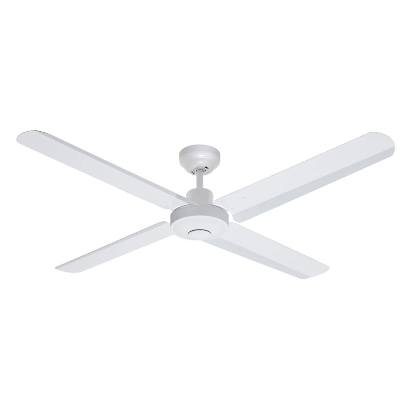 Fan Fan