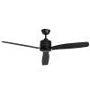 Eco Motion DC Ceiling Fan with Wall Control - Black 55"