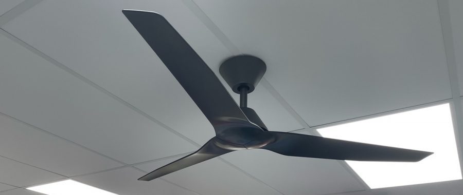 teds lighting ceiling fan in black